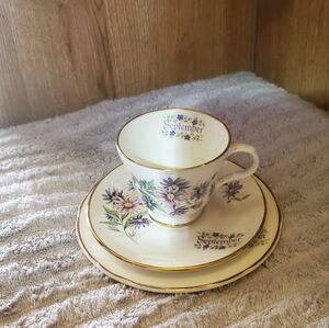 Vintage Sadler Wellington Teacup, saucer & side plate.